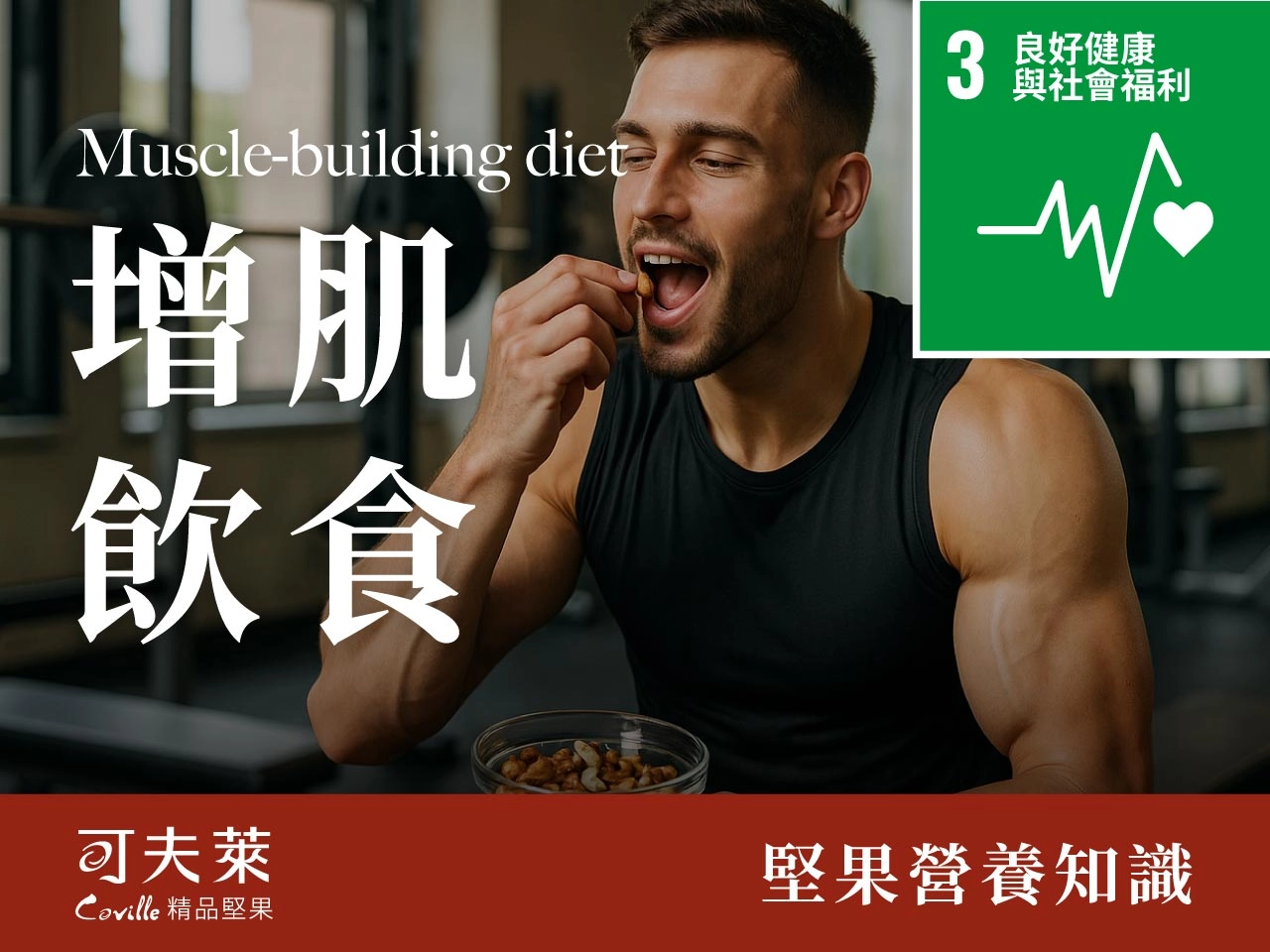 植物性蛋白質,健身增肌