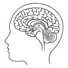 正念飲食,心理和身體益處