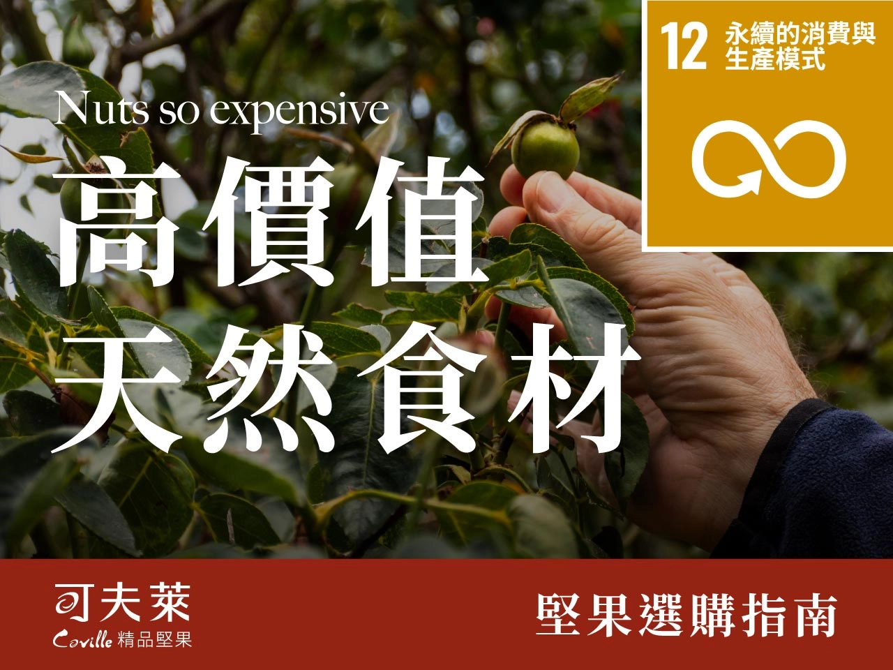 全球高價值天然食材