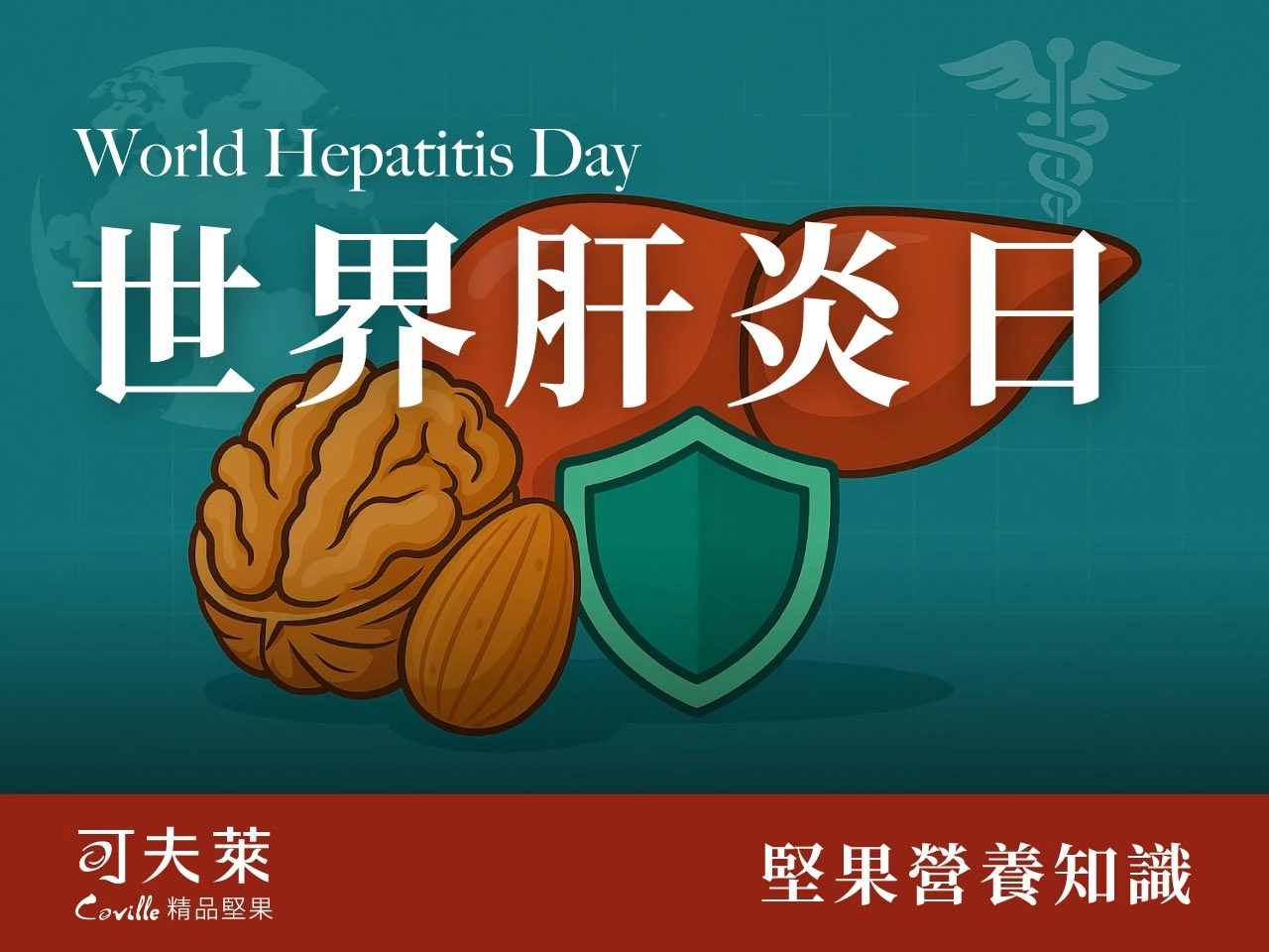 世界肝炎日