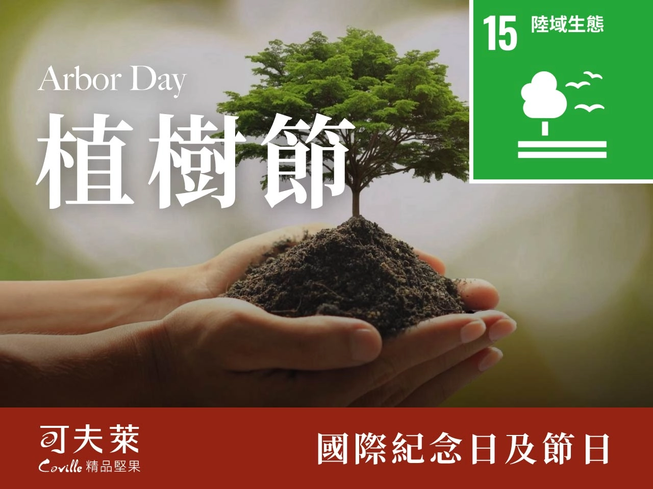 植樹節,堅果,永續