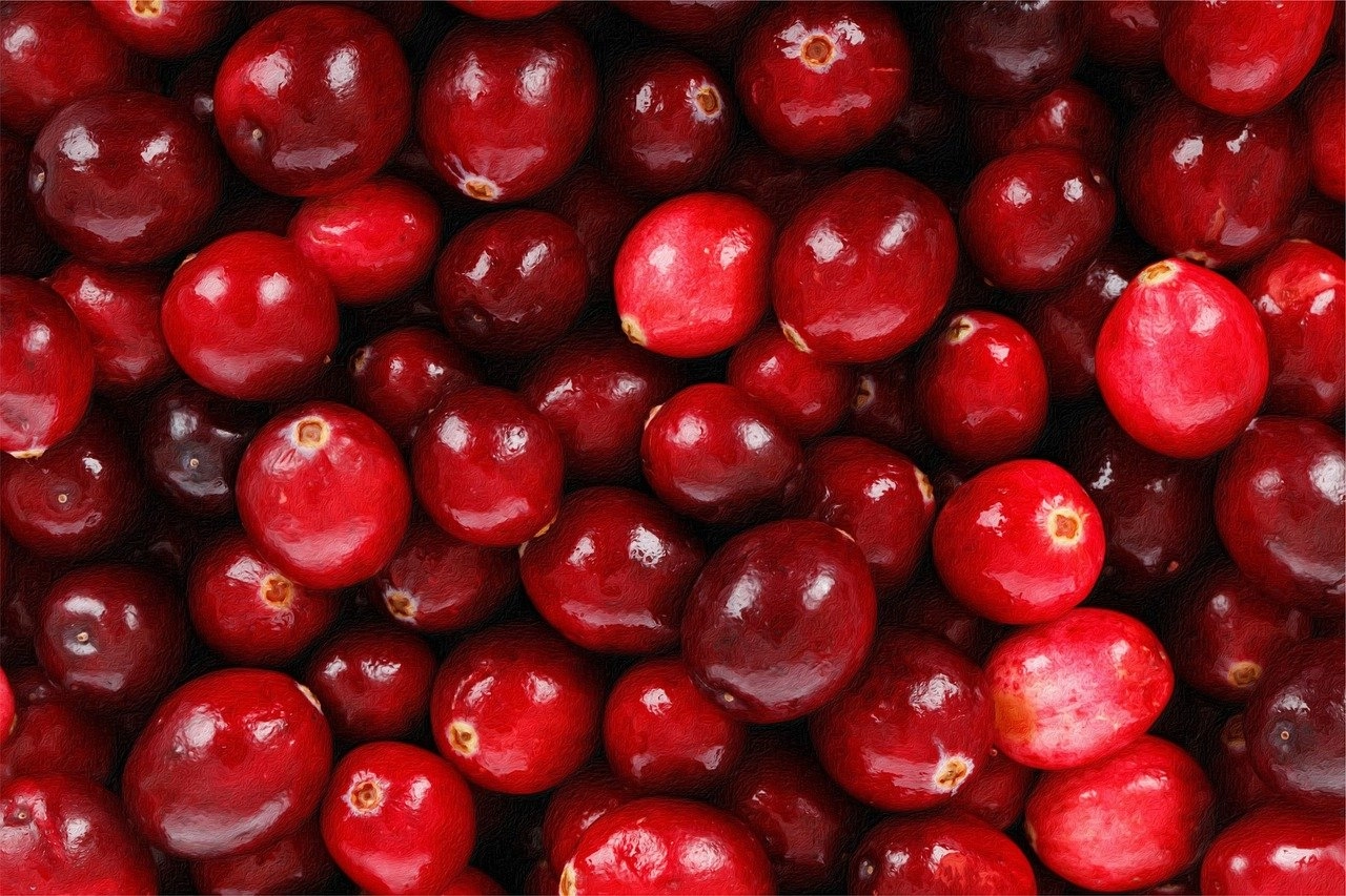 蔓越莓,Cranberry