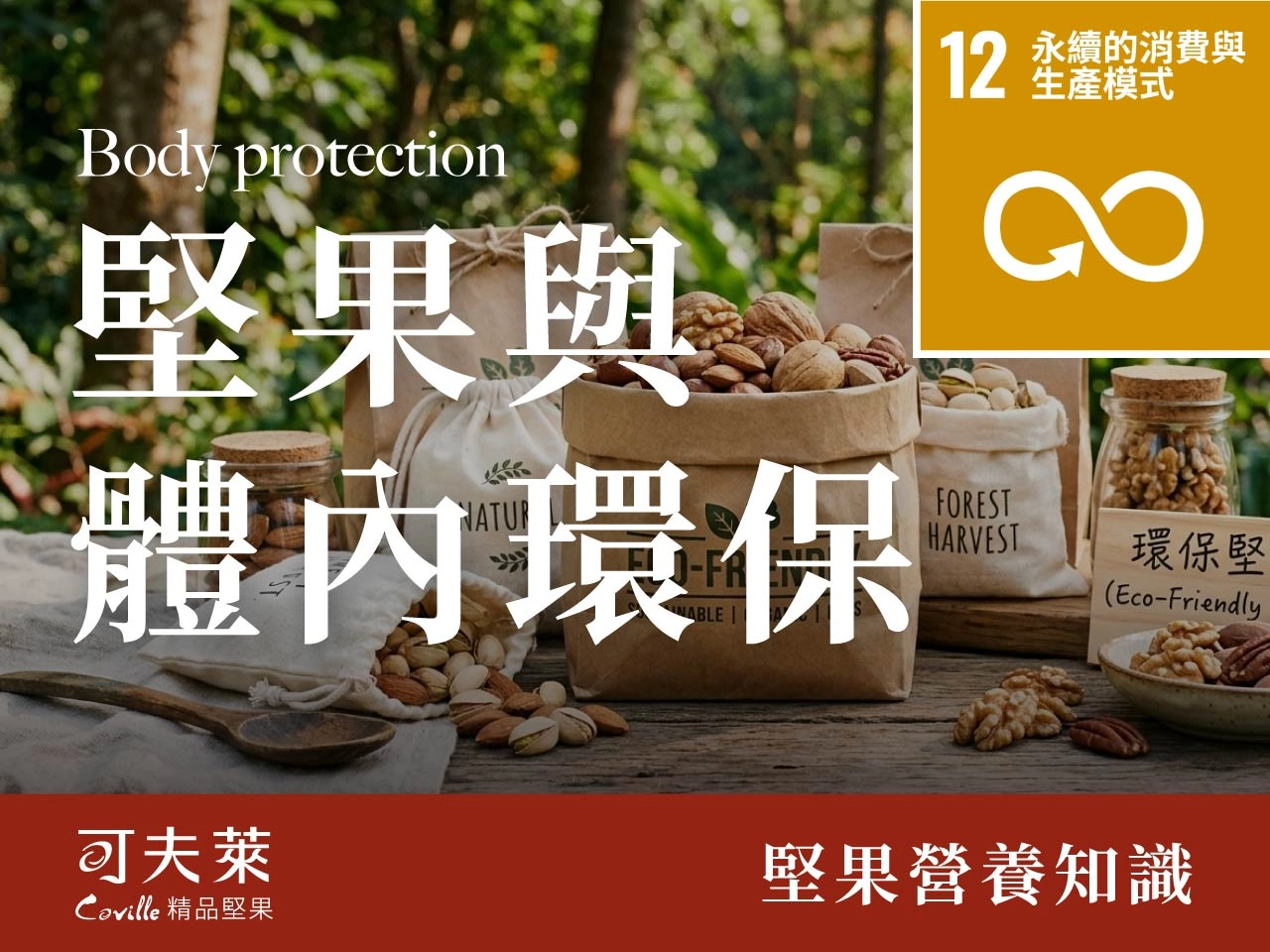 堅果與體內環保