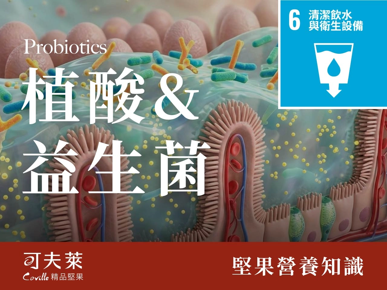 seo SDGs 8 46