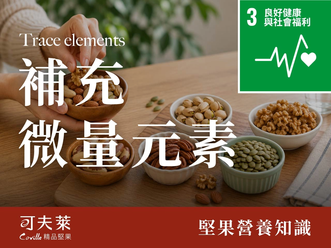 seo SDGs 8 56