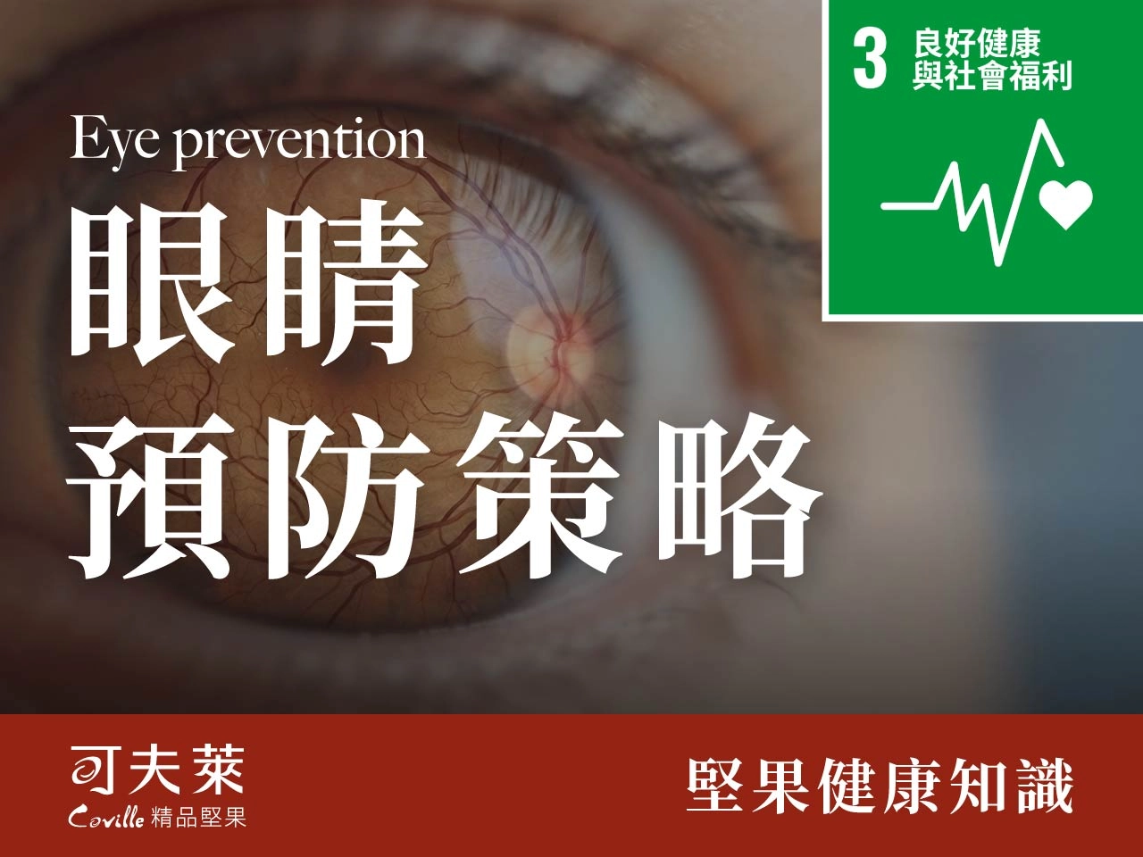 seo SDGs 9 03